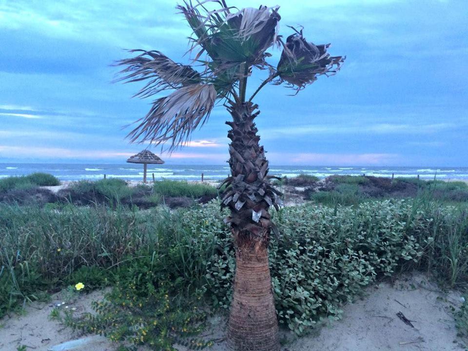 Unobstructed Oceanfront Seagull Unit 3 Beach Pad! Vila Surfside Beach Exterior foto