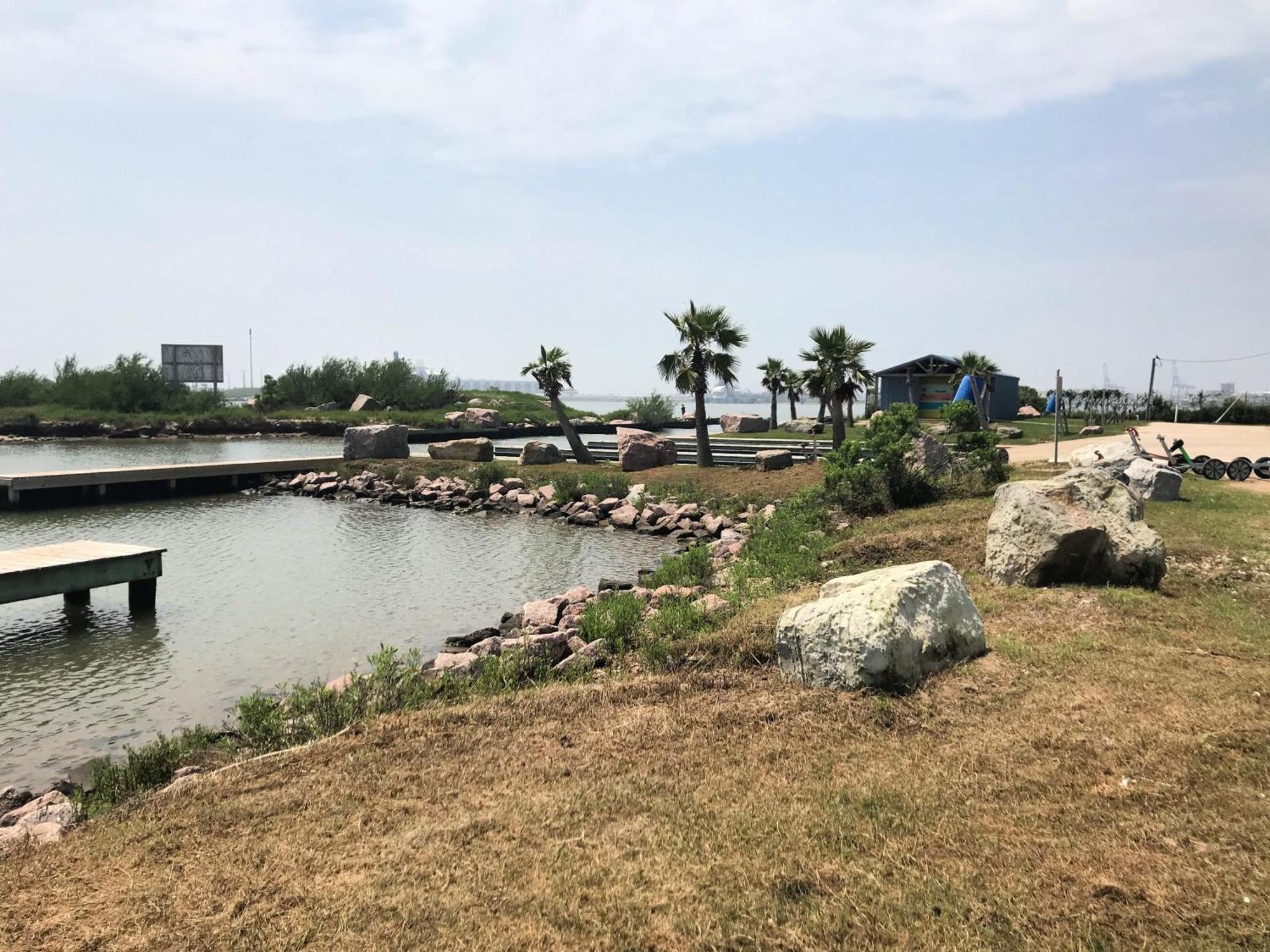 Unobstructed Oceanfront Seagull Unit 3 Beach Pad! Vila Surfside Beach Exterior foto